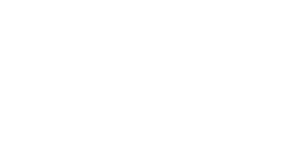 RVision Group