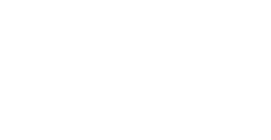 RVision Group